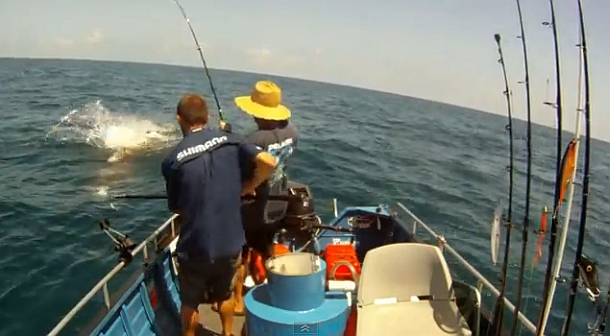VIDEO: GT shark attack
